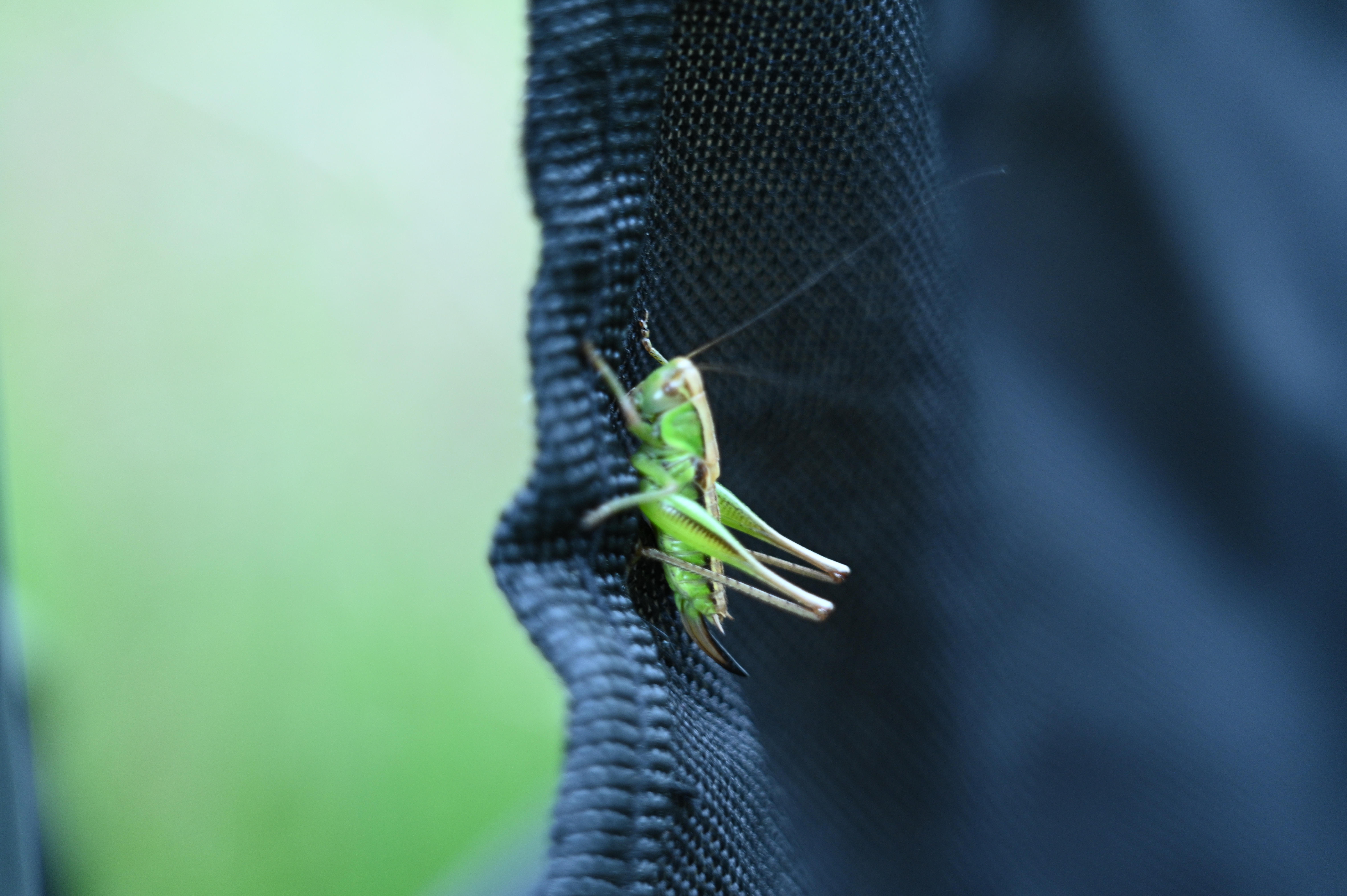 2025/07/09-14 - trip/DSC_0040.JPG